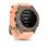 Смарт-годинник Garmin Descent G2 Paloma with Shell Pink Band (010-02986-01) (UA)