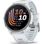Смарт-годинник Garmin Forerunner 170 Whitestone with Whitestone/Cloud Blue Band (010-03920-01)