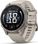 Смарт-часы Garmin Fenix 9 43mm Titanium with Fog Gray Silicone Band (010-04761-00/01)