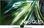 Телевізор Samsung QE50QN92D