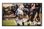 Телевизор Samsung QE55LST7T