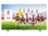 Телевизор TCL 55C72B
