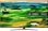 Телевізор LG 55QNED81