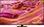 Телевізор Samsung QE55QN92F Europe