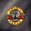 Виниловый диск Guns N' Roses - Greatest Hits LPSET (712479)