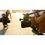 Крепление GoPro Tripod Adapters (ABQRT-003) - фото 3