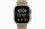 Смарт-часы Apple Watch Ultra 4 Natural Titanium Case with Translucent Kelp Ocean Band (MJCR4+MK7M4) - фото 2