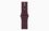 Смарт-годинник Apple Watch Series 12 GPS + Cellular 42mm Radiant Gold Titanium Case with Burgundy Sport Band M/L (MJGK4) - фото 3