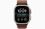 Смарт-часы Apple Watch Ultra 4 Natural Titanium Case with Burgundy Alpine Loop - Medium (MJCR4+MK7E4) - фото 2