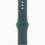 Смарт-годинник Apple Watch Series 10 GPS 46mm Silver Aluminum Case w. Lake Green  Sport Band - M/L (MWX03+MXLR3) - фото 3