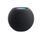Колонка Apple HomePod Mini Space Grey (MY5G2) - фото 1
