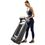 Бігова доріжка KINGSMITH WalkingPad Treadmill X218 - фото 8