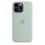 Чохол для смартфона Apple iPhone 14 Pro Silicone Case with MagSafe - Succulent (MPTL3) - фото 2