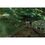 Экшн-камера GoPro HERO 13 Forest Green (CHDHX-133-TH) - фото 5
