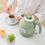 Електрочайник Xiaomi O’COOKER Electric Kettle Green (CS-SH01 Green) - фото 2