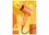 Фен Xiaomi ShowSee Electric Hair Dryer Vitamin C+ VC100-A Orange (Ф28399) - фото 4