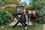 Гриль Ninja Woodfire OG701EU Europe - фото 5