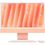 Apple iMac 24" 2024 M4 8CPU/8GPU/16GB/256GB Orange (MWUJ3) - фото 1