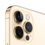 Apple iPhone 12 Pro Max 256GB Gold (MGDE3) - фото 4