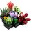 Конструктор Lego Botanicals Сукуленти (10309) - фото 7