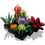Конструктор Lego Botanicals Сукуленти (10309) - фото 3