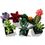 Конструктор Lego Botanicals Сукуленти (10309) - фото 5
