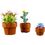 Конструктор Lego Icons Botanicals Маленькие цветы (10329) - фото 2