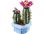 Конструктор LEGO Botanicals Цветение кактуса (11509) - фото 2