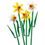 Конструктор Lego Botanicals Нарциси (40747) - фото 5