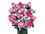Конструктор Lego Botanicals Collection Букет рожевих троянд (10374) - фото 3