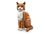 Конструктор Lego Ideas Рыжая кошка (21376) - фото 3