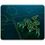 Ігрова поверхня Razer Goliathus Mobile Black/Green (RZ02-01820200-R3M1) - фото 2