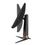 Монiтор Asus ROG Strix 27" PG27UQR (90LM03A0-B02370) IPS Black 160Hz - фото 5