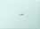 Ноутбук Honor MagicBook Pro 14 2025 (5301AMUC) Aurora Green - фото 4