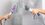 Пароочисник Shark Lift-Away Pro Steam Pocket Mop S6005EU - фото 5