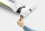 Миючий пилосос Karcher FC 5 Cordless Premium (1.055-660.0) - фото 2