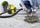 Пилосос Karcher WD 1 Compact Battery без АКБ та ЗП (1.198-300.0) Europe - фото 2