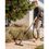 Пылесос Karcher WD 3 S V-15/4/20 (1.628-449.0) Europe - фото 5