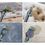 Пылесос Shark StainStriker HairPro Pet Stain & Spot Cleaner PX250EUT - фото 6