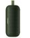 Портативная колонка Bose Soundlink Flex Bluetooth Cypress Green - фото 2