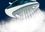 Праска Tefal Express Steam FV2839 Europe - фото 2