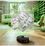 Робот-пылесос iRobot Roomba Max 705 Vac + AutoEmpty Black (W155042) Europe - фото 4
