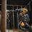 Дриль-шурупокрут DeWalt XR Li-Ion 12В 57.5Нм 425-1500об/хв патрон 10мм 0.9кг без АКБ та ЗП (DCD701N) - фото 3