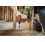Шурупокрут-дриль акумуляторний Milwaukee M12 FDD2-0 (4933479872) - фото 3
