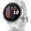 Смарт-годинник Garmin Forerunner 170 Whitestone with Whitestone/Cloud Blue Band (010-03920-01) - фото 1