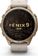 Смарт-часы Garmin Fenix 9 Pro inReach 43mm Autumn Gold Titanium with Bone Leather Band (010-04335-40/41) - фото 2