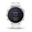 Смарт-годинник Garmin Fenix 6S Silver/White (010-02159-00) (Official Refurbished) - фото 2