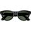 Смарт-окуляри Ray-Ban Meta Skyler Standard - Shiny Black / G-15 Green (RW4010 601/71 52-20) - фото 4