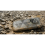 Смартфон Blackview BL7000 Pro 8/512GB Orange - фото 8