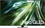Телевізор Samsung QE65QN92D - фото 1